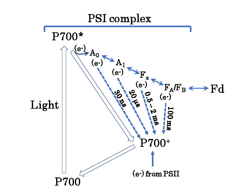 图6190612.jpg