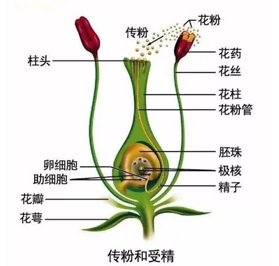 图22108092.jpg