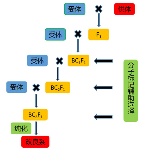 图1023032201.jpg